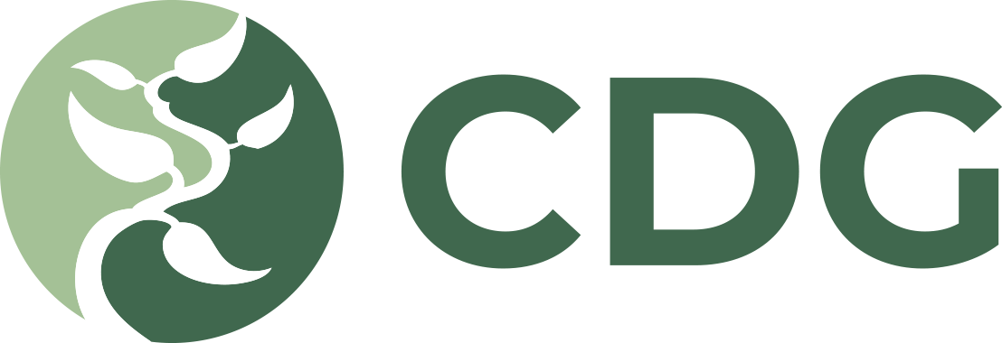 Stichting CDG Dashboard logo